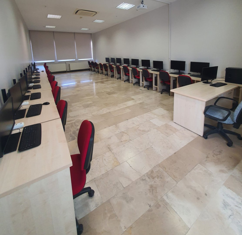1733178158-lab.jpg
