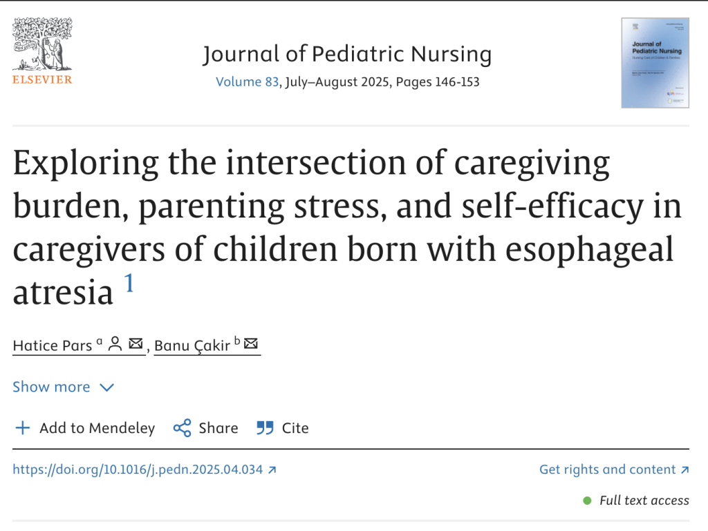 1747159728-Ekran Resmi 2025-05-13 21.05.05.png