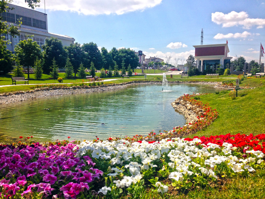 /uploads/pages/atilimda-yaban-hayati-1753341555/1753445128-gölet .jpg