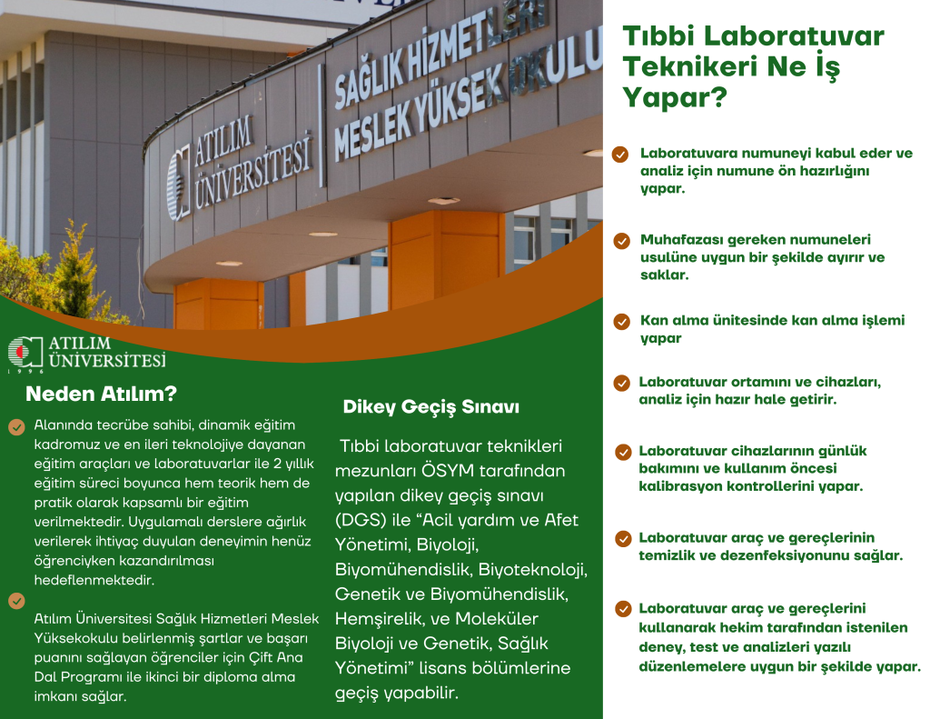 1753101583-tlt 2.png