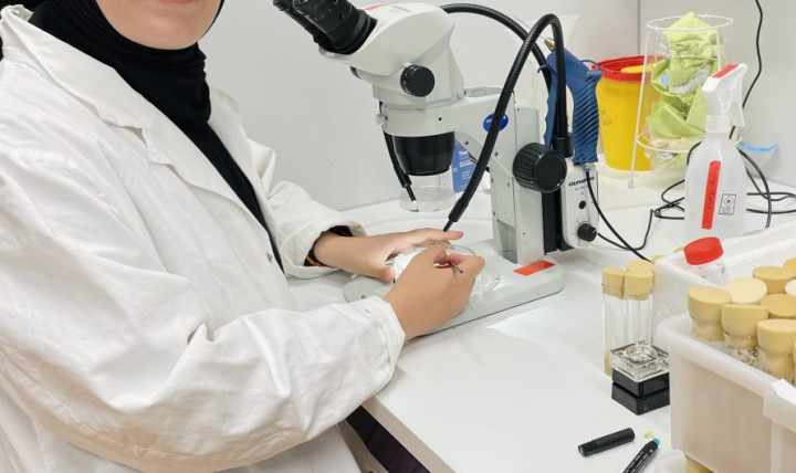 Erasmus rogramı ile giden öğrencimiz Elif Haskan Meinz Schnaitmann Lab'da!