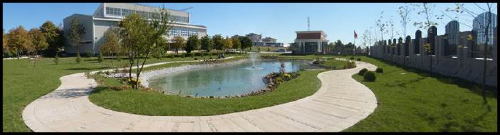 1516710247-image254.jpg
