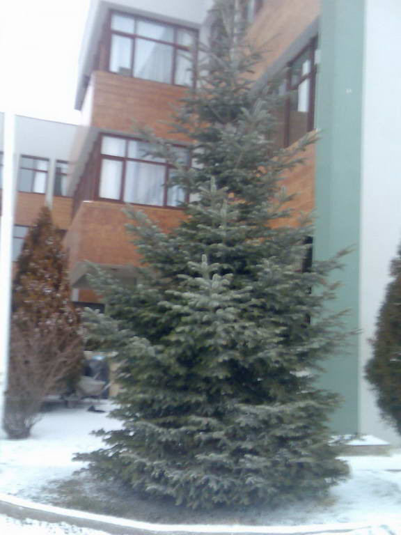 1515079225-mavi_1.jpg