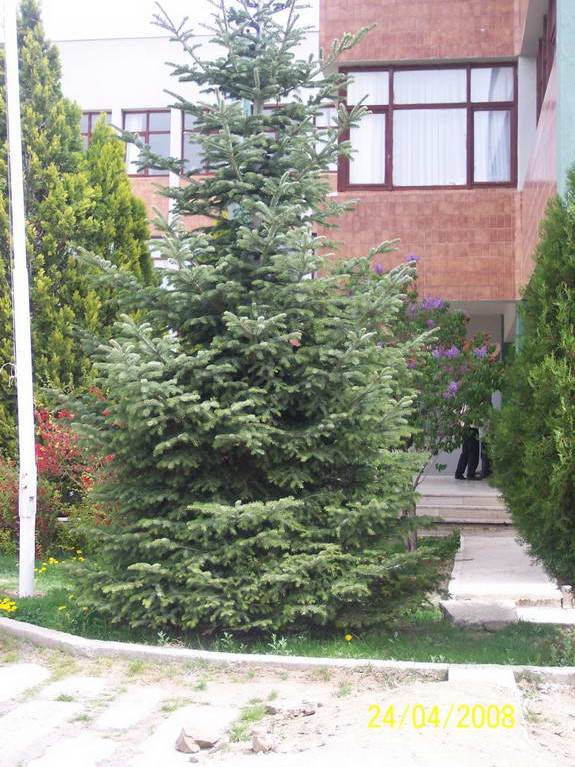 1515079225-mavi_2.jpg