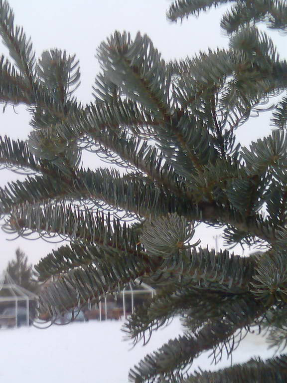 1515079225-mavi_3.jpg
